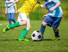 卡马拉惊天,世界波助维,绝杀狼队,凯发K8手机端,凯发k8官网,k8,凯发(国际),平台网站,Kaifa,K8