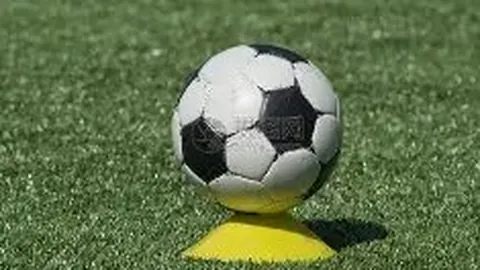 扬帆海港，荣耀加冕！奥斯卡官方发声：辉煌冠军，共庆辉煌时刻！向英勇队友与热情球迷致敬！