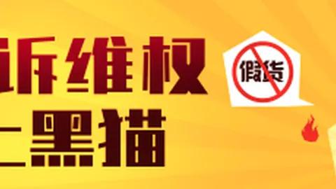 杰伦布朗勇敢飞跃波士顿球迷近距离互动瞬间：巨星不为人知的亲切一面